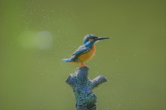 さっぱりした。