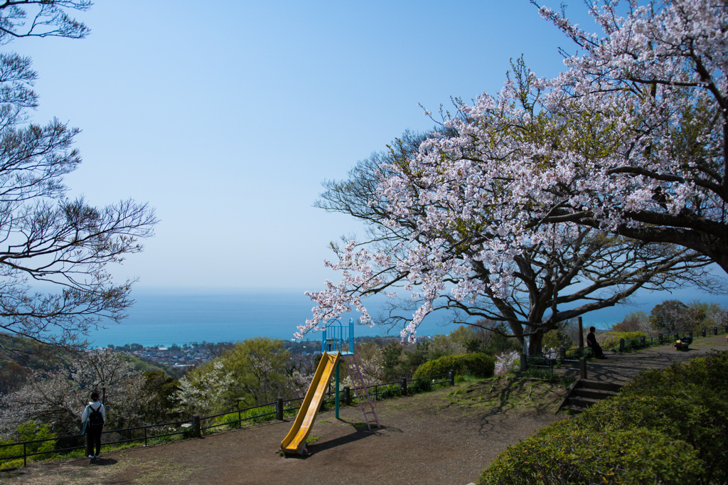 海が見える公園