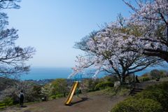 海が見える公園