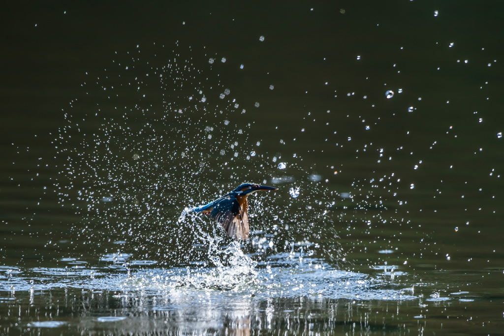 水浴び