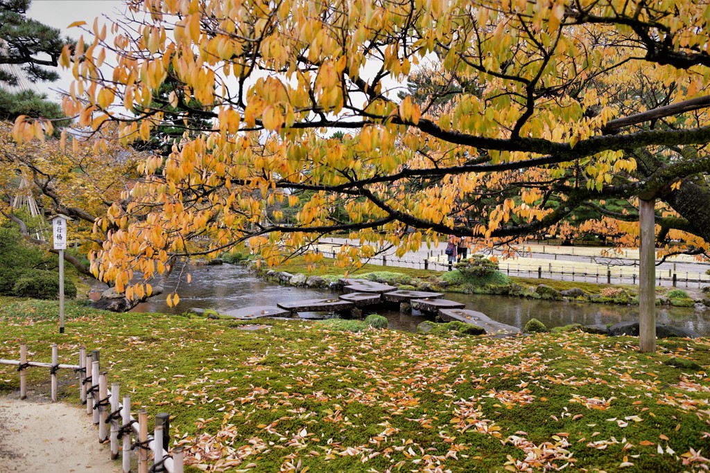 兼六園の紅葉