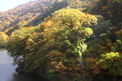 湖畔の輝き