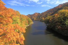 紅葉全開