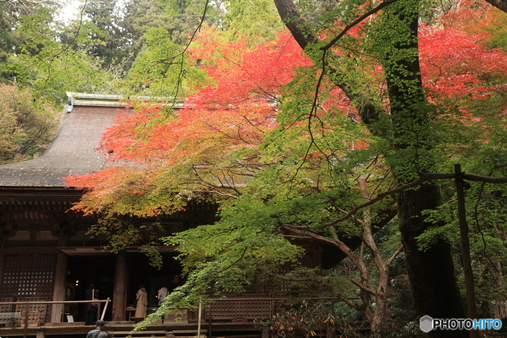 本堂　室生寺03