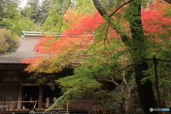 本堂　室生寺03