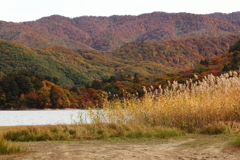 桧原湖の紅葉
