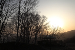 夕日に映える