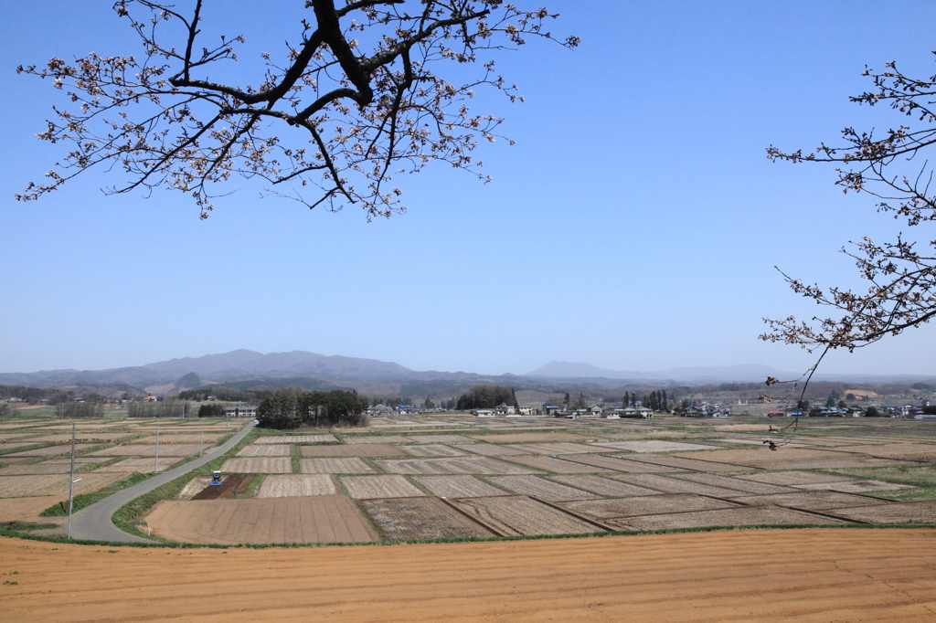 田植え待つ