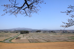 田植え待つ