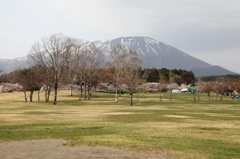 小岩井農場公園