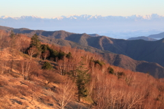 気持ちのいい朝、北アルプスを望む_4