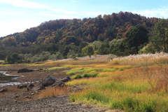 桧原湖の秋