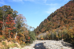 只見の紅葉