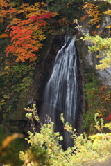 秋を楽しむ滝