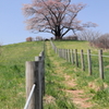 丘の上へ