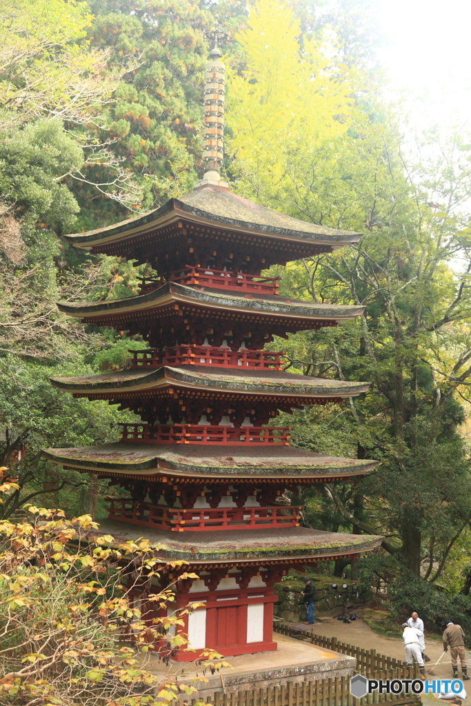 輝く五重の塔　室生寺05