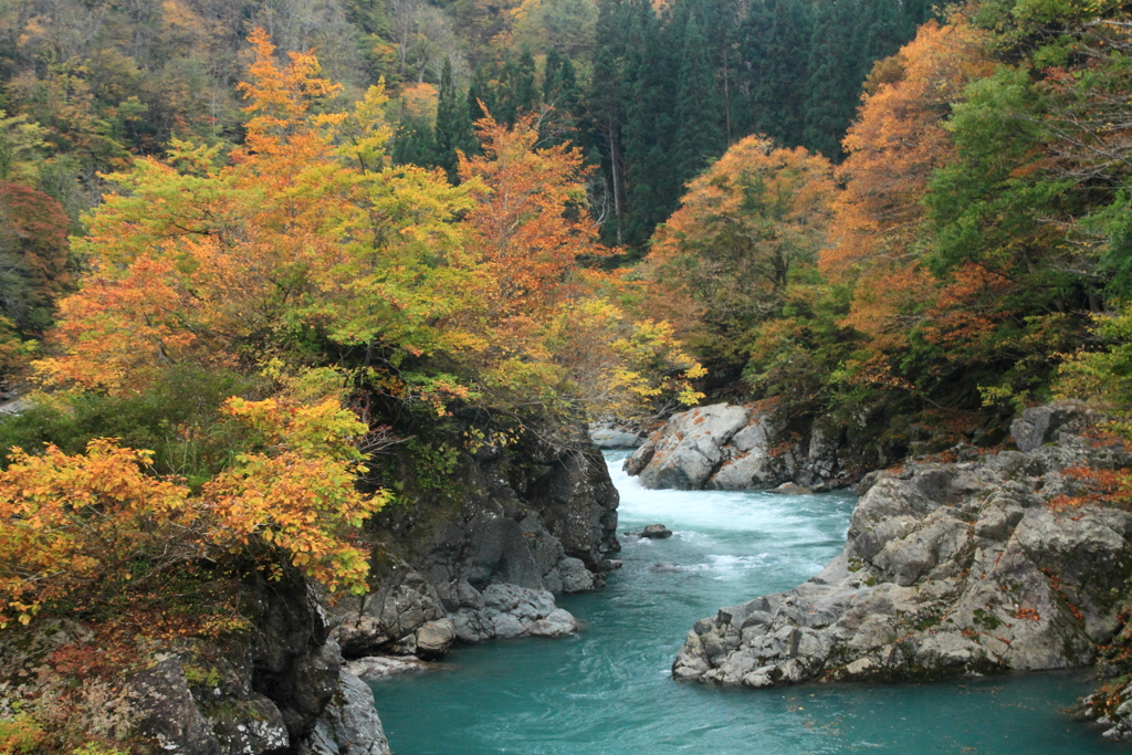 見倉橋の紅葉（津南町）