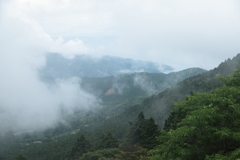 雲登る（西伊豆スカイライン）