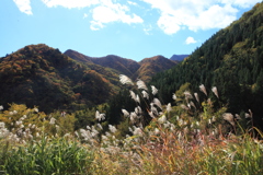 谷川岳PA