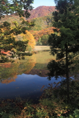 静かな沼