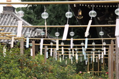 夏の風物詩