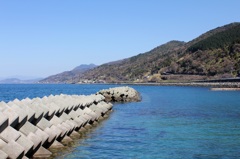海！！山！！