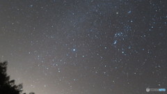 星降る夜