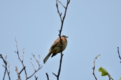 下からこっそり