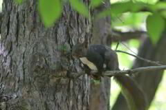 ハーフ＆ハーフ