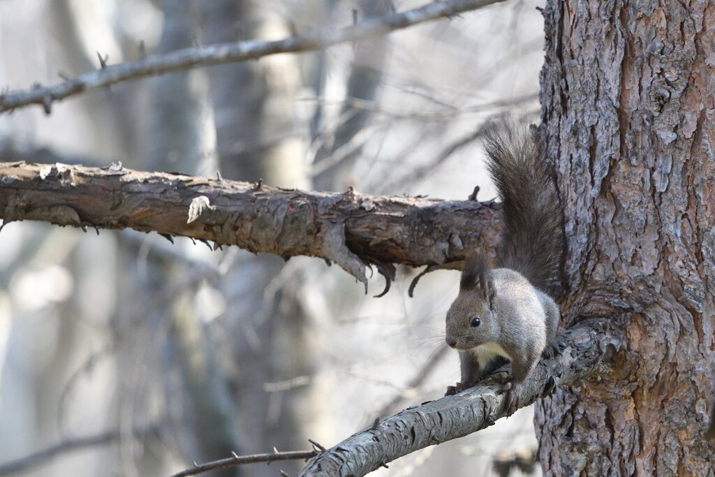 はらはらどきどき