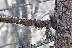 はらはらどきどき