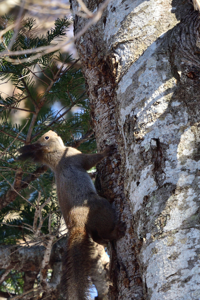 フィールドワーク