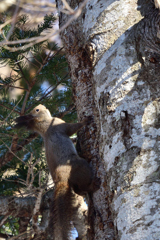 フィールドワーク