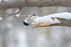 雪はね