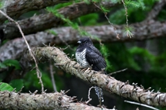 まったり昼休み