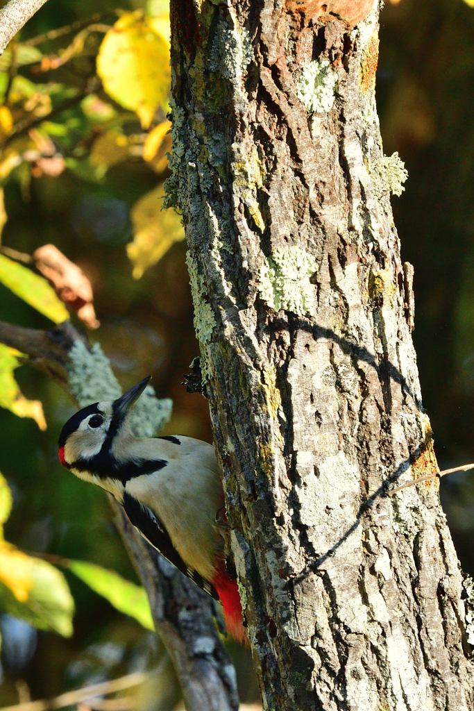 ただいま工事中