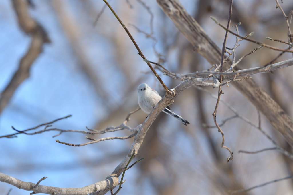 グッドモーニング
