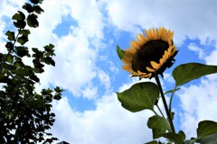 終わる夏