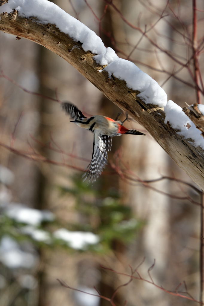 バックジャンプ