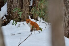 一休さん