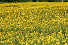 笑顔がいっぱい