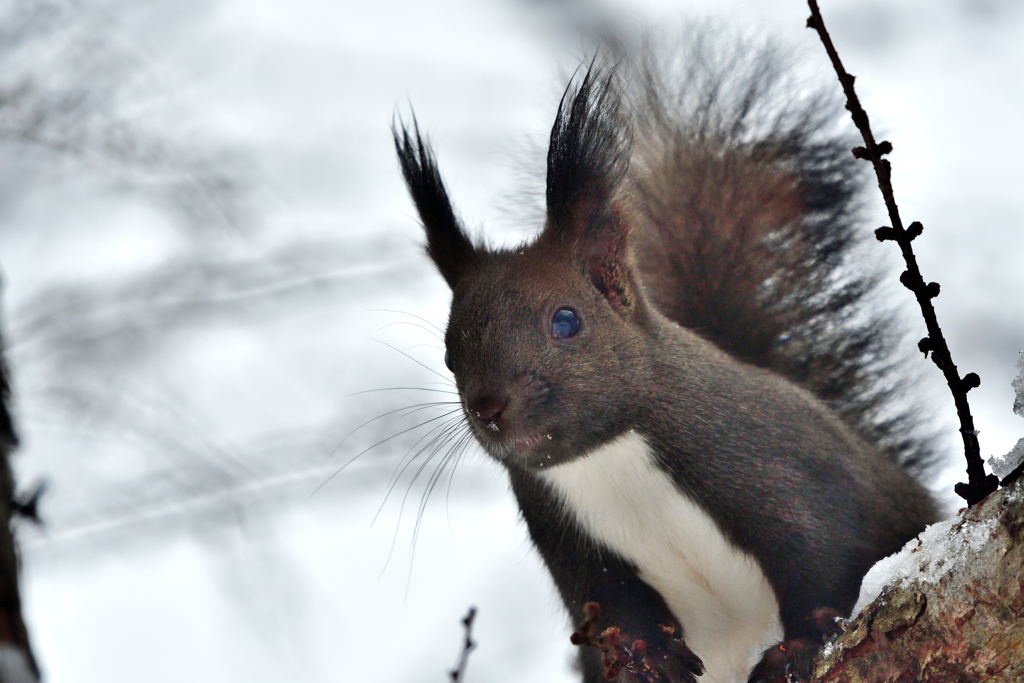 モチベーション