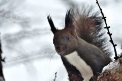 モチベーション