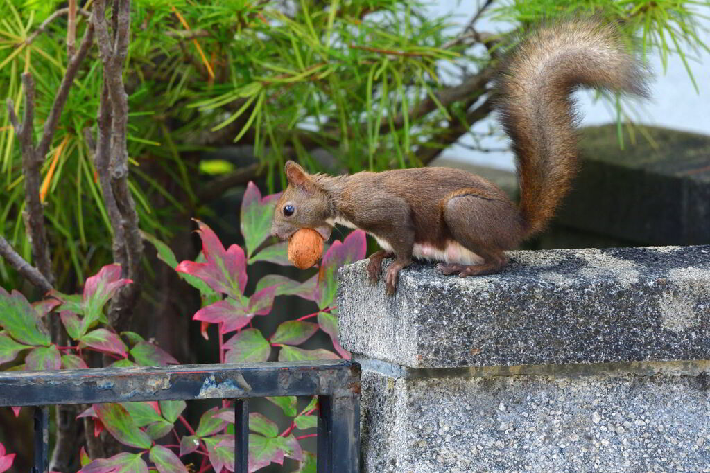バリアフリーが欲しかった
