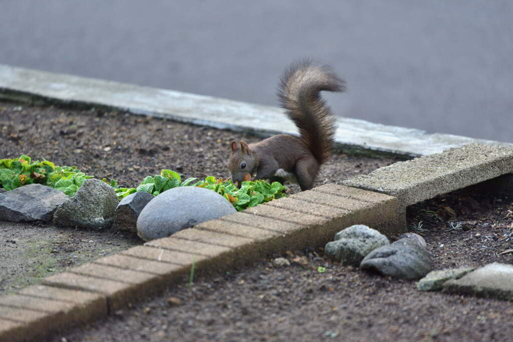 秘密の隠し場所