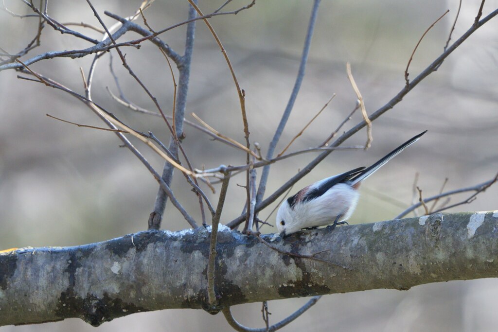 潤いをもとめて