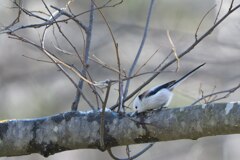 潤いをもとめて