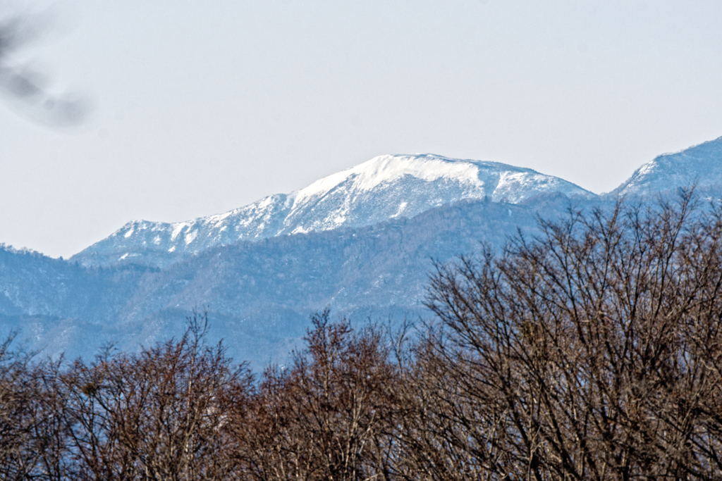 ほんのり雪化粧