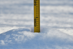 積雪73センチ
