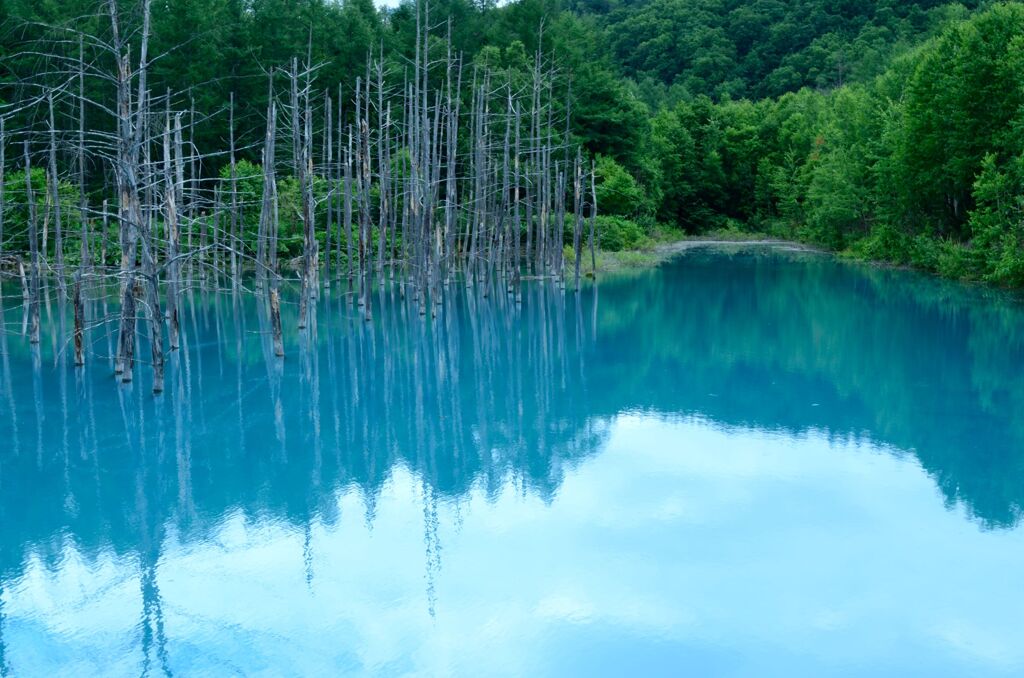 ブルーに染めて